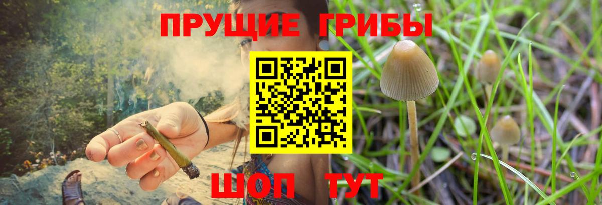 Воткинск  Псилоцибиновые грибы GOLDEN TEACHER  Вход с VPN 